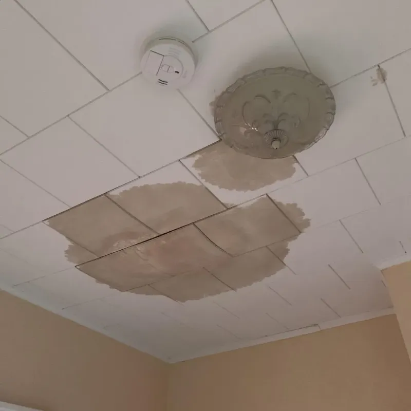 Ceiling Water Damage Repair in Bellport, NY